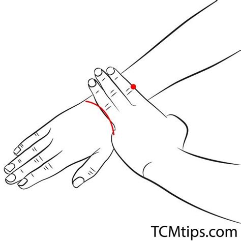 7 Effective Acupressure Points For Earache Due To Infection Easy Tcm Wisdom Your Path To Diy