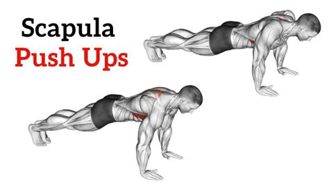 Scapula Push Ups Muscles Worked How To Do And Benefits