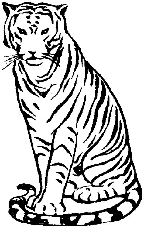 Sumatran Tiger Coloring Pages Coloring Pages