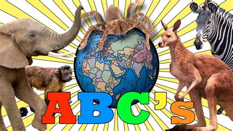 Songs for esl with transcript. Animal Alphabet Song! ABC Alphabet Songs for Kids, Animal ...