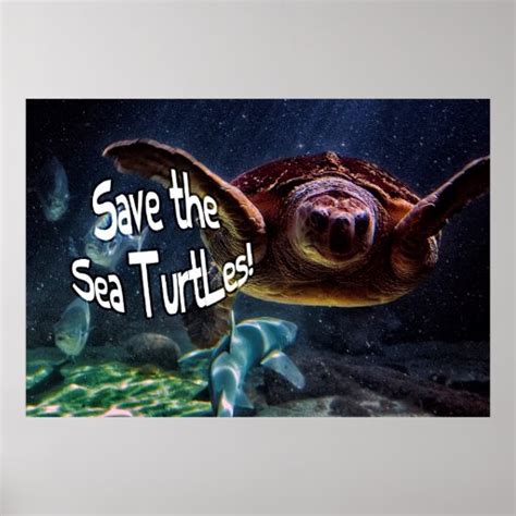 Save The Turtle Posters Save The Turtle Prints Art Prints Poster Designs