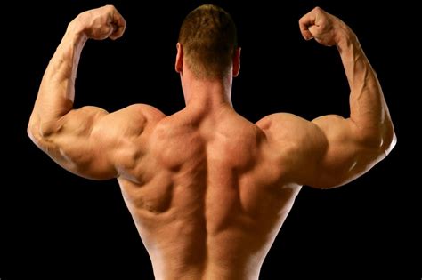 5 Exercises For Recovering From Sore Bicep Muscles For Bodybuilders