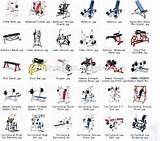 Photos of Weight Lifting Equipment Names