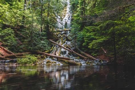 Proxy Falls Hike—central Oregons Most Epic Waterfall