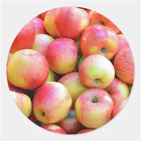 Fresh Red And Yellow Apples Classic Round Sticker Zazzle