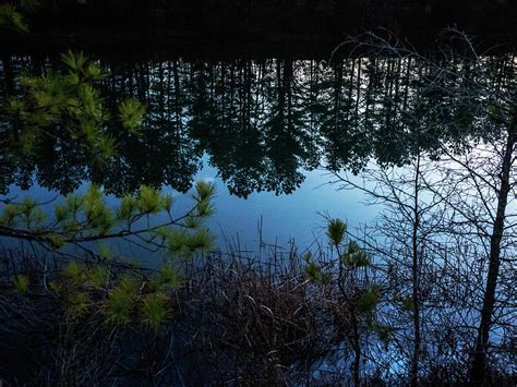 Pine Barren Reflections Photograph By Louis Dallara Fine Art America