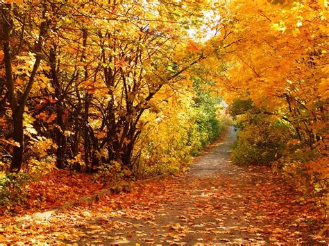 Explore Trends Beautiful Autumn Scenery Wallpapers