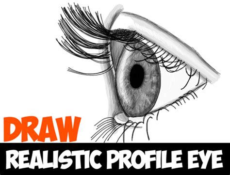 How To Draw Realistic Eyes From The Side Profile View Step By Step