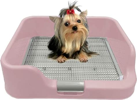 Dogcharge Indoor Dog Potty Tray With Protection Wall Every Side For
