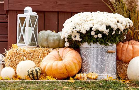 23 Fall Backyard Party Ideas For Celebrating Harvest Season