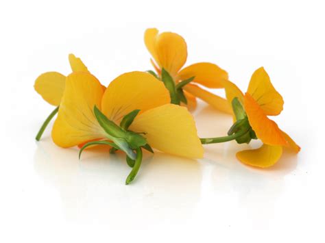 Eetbare Bloemen Viooltjes Oranje Puurgroenten
