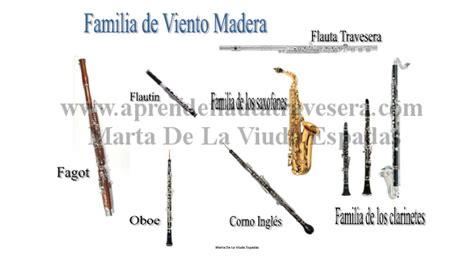 Aprende Flauta Travesera La Familia Del Viento Madera