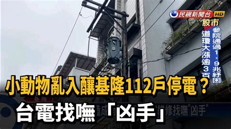 小動物亂入釀基隆112戶停電 台電找嘸「凶手」－民視新聞 Youtube