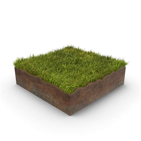 Free Grass Cross Section Png Images And Psds For Downloads Pixelsquid