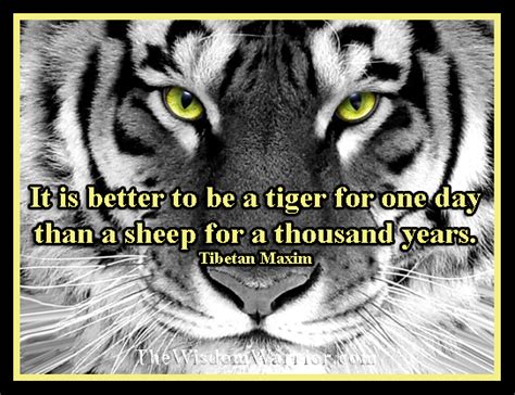 It's something that's many of the wisest people in history have kept in mind over thousands of years. It is better to be a tiger for one day than a sheep for a thousand years. Tibetan Maxim | The ...