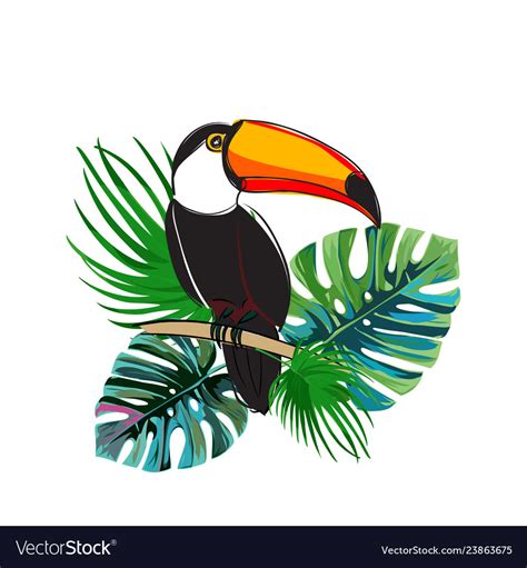 Toucan Sitting On Branch Exotic Bird Royalty Free Vector