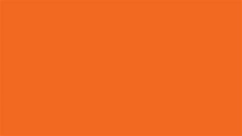 Plain Pastel Orange Background