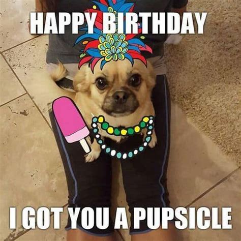 100 Funny Happy Birthday Dog Meme Happy Birthday Time