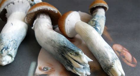 Scientists Finally Figured Out Why Magic Mushrooms Turn Blue