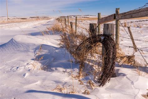 Roll Of Barbed Wire Partly Covered In The Snow With A Fencepost Tall