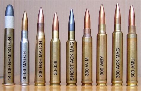 Different Caliber Bulletscartriges Long Range And 1000 Yard Br