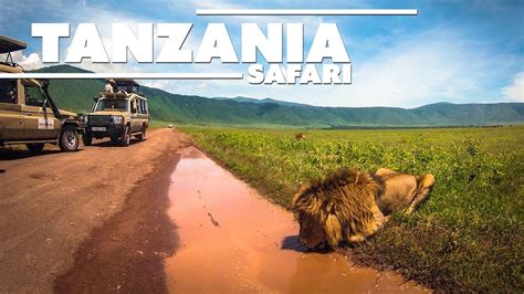 Egentlig ikke en stat i seg selv, men heller en parodi på orania. Tanzania Trip - Ultimate Safari HD GoPro - YouTube