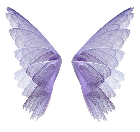 Realistic Fairy Wings Png