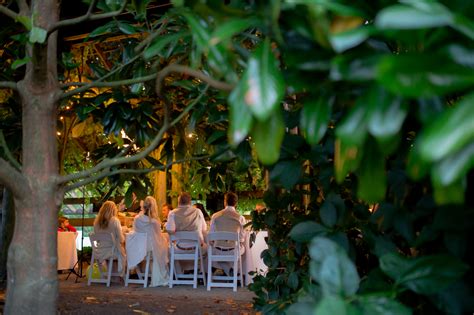 Check spelling or type a new query. UBC Botanical Garden Wedding Photography - Stef & Ryan ...