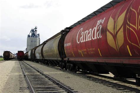 We analyze millions of used cars daily. CN Rail exceeds grain shipping revenue cap in 2013-14