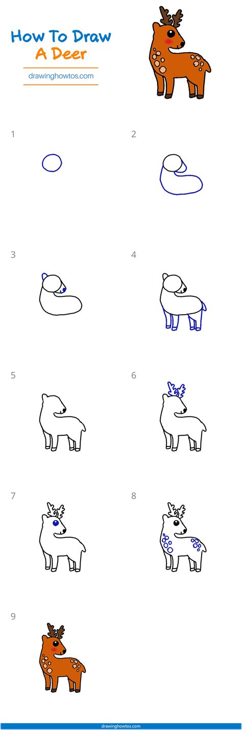 How To Draw A Deer Step By Step For Kids