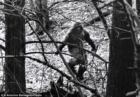 Bigfoot Or Animals Hair Raising Sounds Coming From A Swamp On Indian