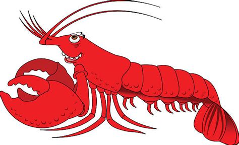 Lobster Claw Illustrations Royalty Free Vector Graphics