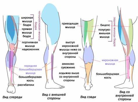 Одна нога похудела и болит