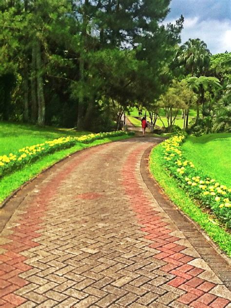 Taman bunga nusantara adalah sebuah taman bunga seluas 23 hektare yang terletak dekat gunung gede pangrango dan kebun teh bogor dengan jarak tempuh sekitar 2 jam perjalanan dari jakarta. Taman bunga nusantara, cipanas | Taman bunga, Taman, Indonesia