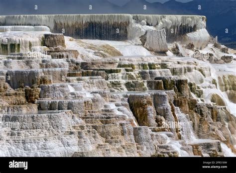 Yellowstone Terraces Of Main Spring Water Dripping Stock Photo Alamy