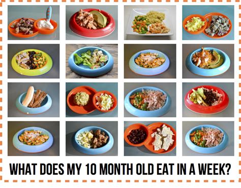 What Does My 10 Month Old Eat In A Week Baby Food Recipes 10 Month