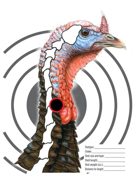 Turkey Head Target Printable