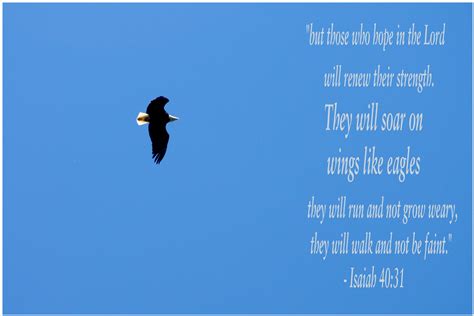 Wings Of Eagles Life Verses Wings Like Eagles Isaiah 40 31