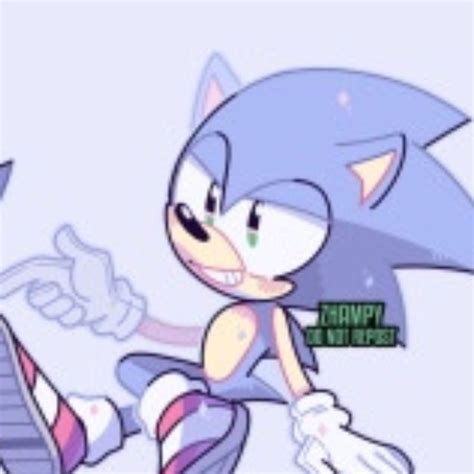 Group Matching Pfp Sonic Shadow And Amy Matching Pfp