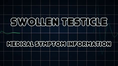 Swollen Testicle Medical Symptom Youtube