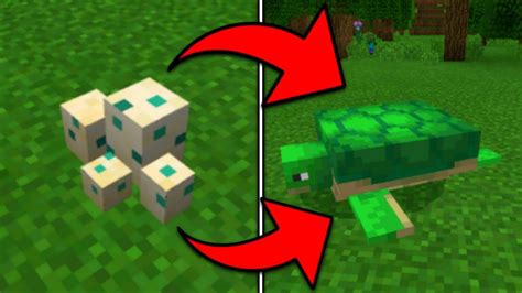 While the player is preparing to slay the dragon, carry a few blocks for building, a piston, and a lever. How To Make A Dragon Egg Hatch In Minecraft
