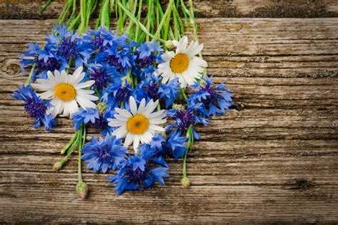 Premium Photo Bouquet Of Blue Cornflowers And Daisies Close Up On A