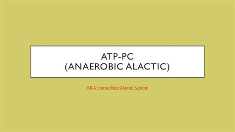 Atp Pc Anaerobic Alactic Ppt Download
