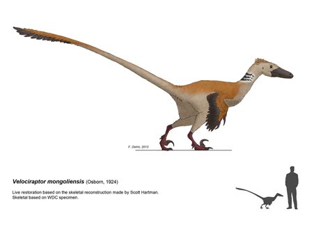 Velociraptor Accurate Mod Idea At Jurassic World Evolution Nexus Mods And Community