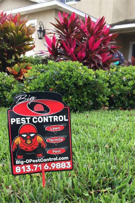 Describe your company and attract business opportunities (nai12). Learn About Big-O Pest Control Services | Affordable ...