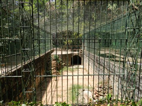 Big Cat Cage Example Now Empty Campinas Zoo Bdj Zoochat