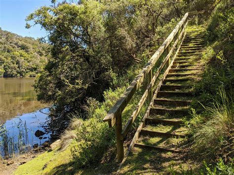Glenelg River Gorge Trail Navigator Victoria