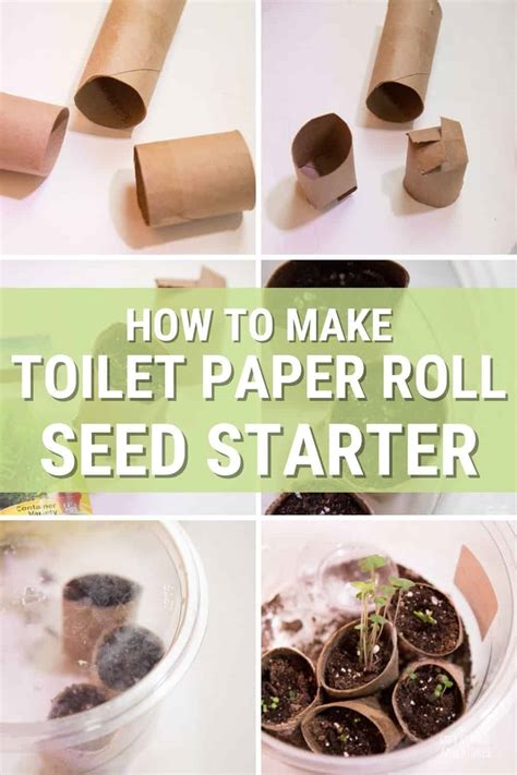 Starting Seeds Using Toilet Paper Rolls