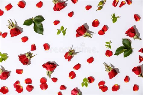 Floral Pattern With Red Roses Petals And Leaves On White Background