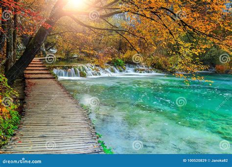 Beautiful Tourist Pathway In Colorful Autumn Forest Plitvice Lakes